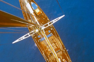 Black Swan - mast view